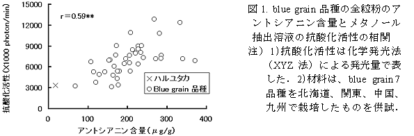 図1. blue grain 品種の全粒粉のアントシアニン含量とメタノール抽出溶液の抗酸化活性の相関