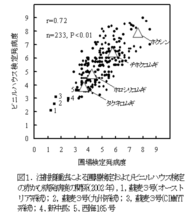 図1.注射接種法による圃場検定およびビニルハウス検定 の赤かび病発病度の関係