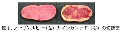 図1 ノーザンルビー(左)とインカレッド(右)の切断面