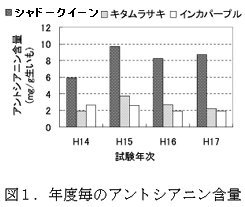 図1 年度毎のアントシアニン含量