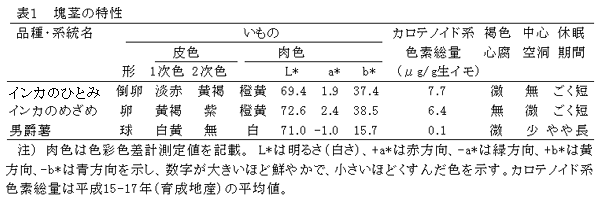 表1 塊茎の特性