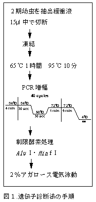 図1 遺伝子診断法の手順