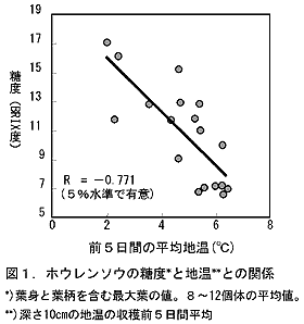 図1 ホウレンソウの糖度と地温との関係