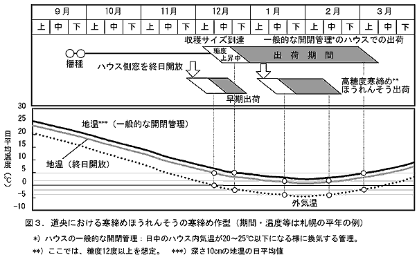 図3 道央における寒締めほうれんそうの寒締め作型