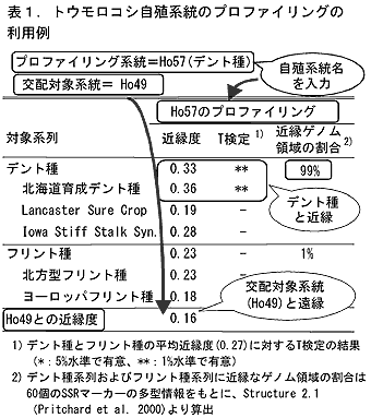 表1 トウモロコシ自殖系統のプロファイリングの利用例