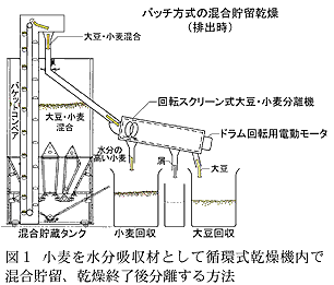 図1 小麦を水分吸収材として循環式乾燥機内で混合貯留、乾燥終了後分離する方法