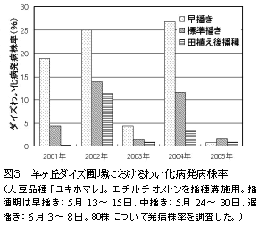 図3.羊ヶ丘ダイズ圃場におけるわい化病発病株率
