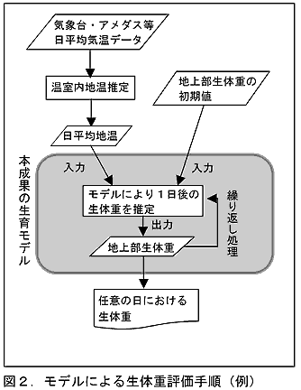 図2 モデルによる生体重評価手順(例)