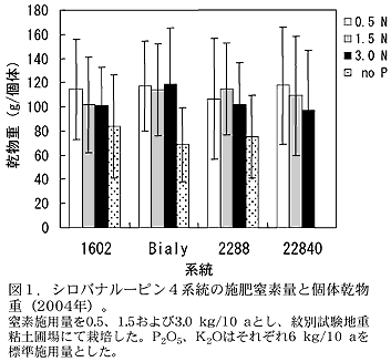 図1 シロバナルーピン4系統の施肥窒素量と個体乾物重