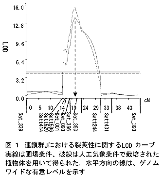 図1 連鎖群Jにおける裂莢性に関するLODカーブ実線は圃場条件、破線は人工気象条件で栽培された植物体を用いて得られた。水平方向の線は、ゲノムワイドな有意レベルを示す