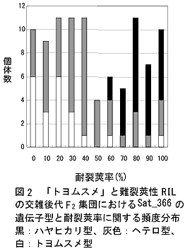 図2 「トヨムスメ」と難裂莢性RILの交雑後代F2集団におけるSat_366の遺伝子型と耐裂莢率に関する頻度分布 黒:ハヤヒカリ型、灰色:ヘテロ型、白:トヨムスメ型