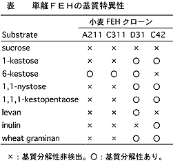 表 単離FEHの基質特異性