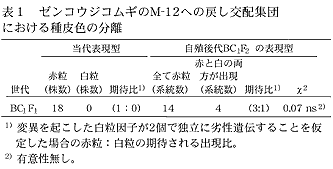 表1 ゼンコウジコムギのM-12への戻し交配集団における種皮色の分離