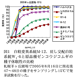 図1 白粒変異系統M-12、戻し交配白粒系統W1-6と原品種ゼンコウジコムギの種子休眠性の比較