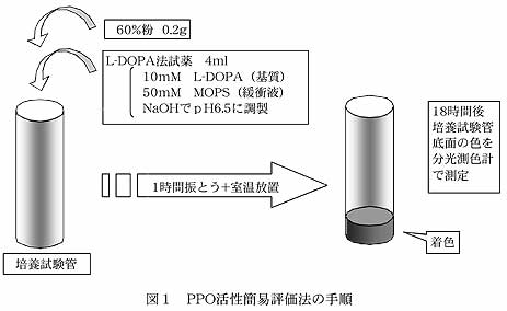 図1 PPO活性簡易評価法の手順