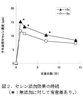 図2 セレン添加効果の持続