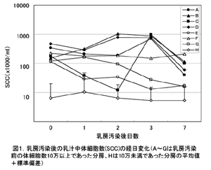図1 乳房汚染後の乳汁中体細胞数(SCC)の経日変化