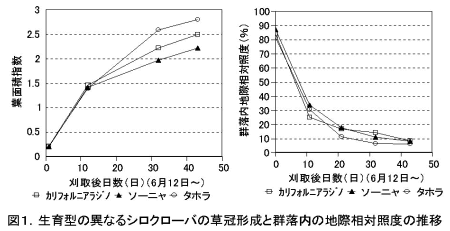図1 生育型の異なるシロクローバの草冠形成と群落内の地際相対照度の推移