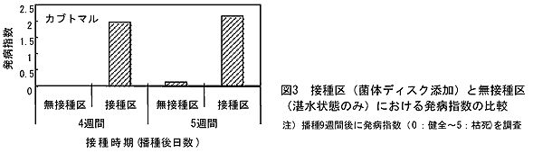 図3 接種区(菌体ディスク添加)と無接種区(湛水状態のみ)における発病指数の比較