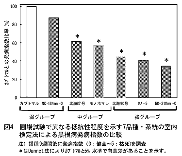 図4 圃場試験で異なる抵抗性程度を示す7品種・系統の室内検定法による黒根病発病指数の比較