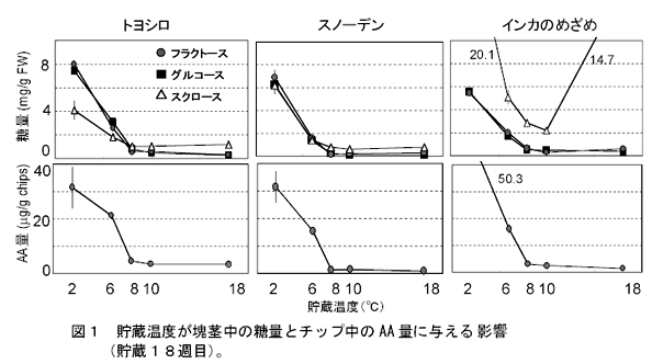 図1 貯蔵温度が塊茎中の糖量とチップ中のAA量に与える影響