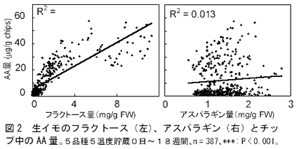 図2 生イモのフラクトース(左)、アスパラギン(右)とチップ中のAA量