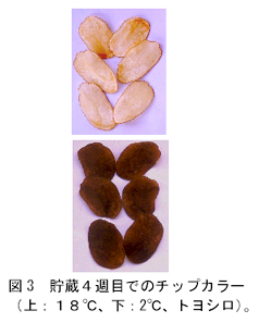 図3 貯蔵4週目でのチップカラー(上:18℃、下:2℃、トヨシロ)