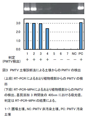 図3 PMTV土壌診断法による土壌からのPMTVの検出