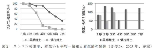 図2 ストロン発生率、着生いも平均一個重と着生節の関係(さやか、2005年、芽室)