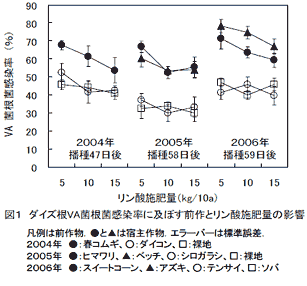 図1 ダイズ根VA菌根菌感染率に及ぼす前作とリン酸施肥量の影響