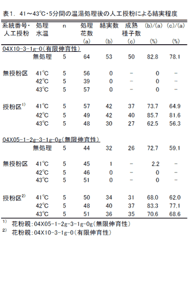 表1. 41～43°C・5分間の温湯処理後の人工授粉による結実程度