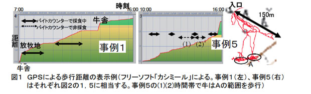 図1 GPSによる歩行距離の表示例