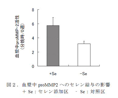 図2.血漿中proMMP2 へのセレン給与の影響