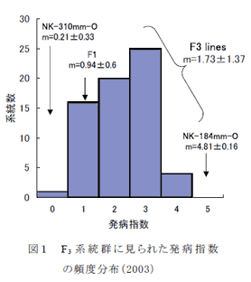 図1 F3 系統群に見られた発病指数の頻度分布(2003)