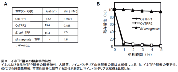 図3.イネTPP酵素の酵素学的特性.