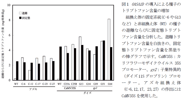 図1 OASA1D の導入による種子のトリプトファン含量の増加