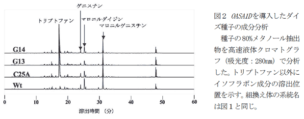 図2 OASA1D を導入したダイズ種子の成分分析