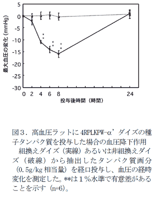 図3.高血圧ラットに4RPLKPW-α’ダイズの種子タンパク質を投与した場合の血圧降下作用