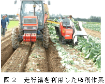 図2.走行溝を利用した収穫作業