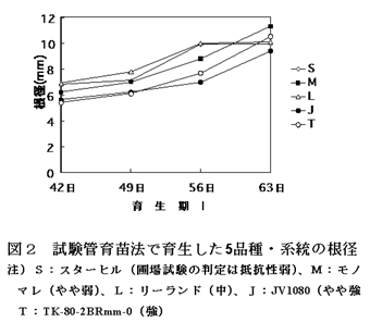 図2 試験管育苗法で育生した5品種・系統の根径