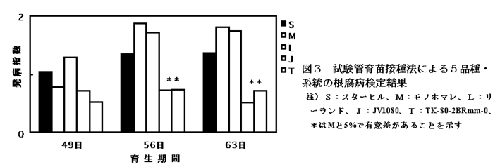 図3 試験管育苗接種法による5品種・系統の根腐病検定結果