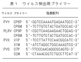 表1 ウイルス検出用プライマー