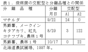 表1.疫病菌の交配型と分離品種との関係