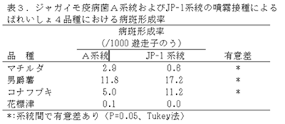 表3.ジャガイモ疫病菌A系統およびJP-1系統の噴霧接種による ばれいしょ4品種における病斑形成率