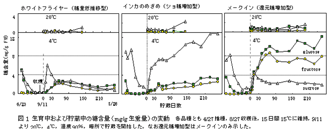 図1 生育中および貯蔵中の糖含量(mg/g 生重量)の変動