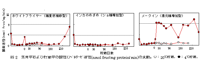 図2 生育中および貯蔵中の酸性インベルターゼ活性(nmol fruc/mg protein/min)の変動。