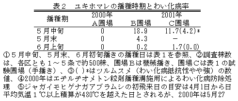表2 ユキホマレの播種時期とわい化病率