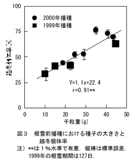 図3 根雪前播種における種子の大きさと越冬個体率