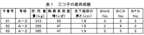 表1 三つ子の産肉成績