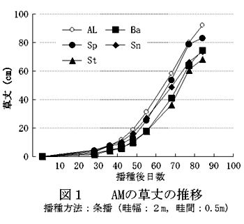 図1  AMの草丈の推移